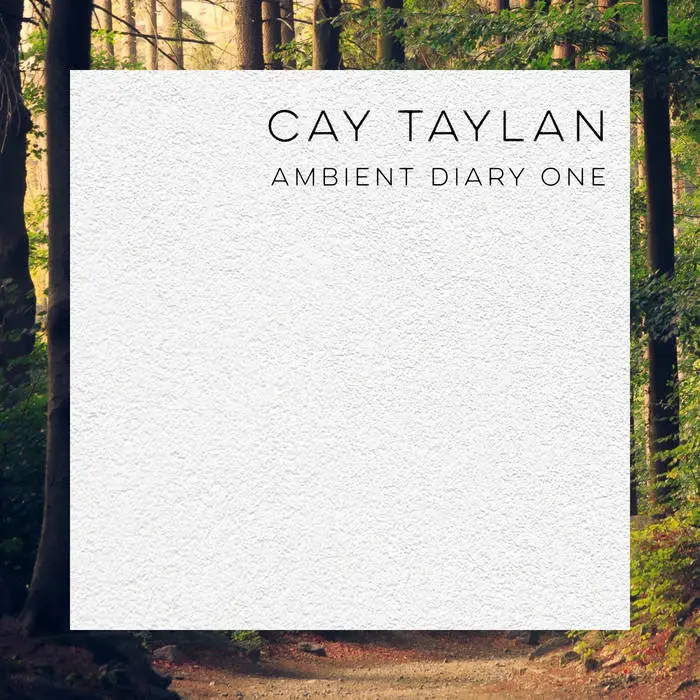 AMBIENT DIARY ONE ALBUM, Cay Taylan, Musiker