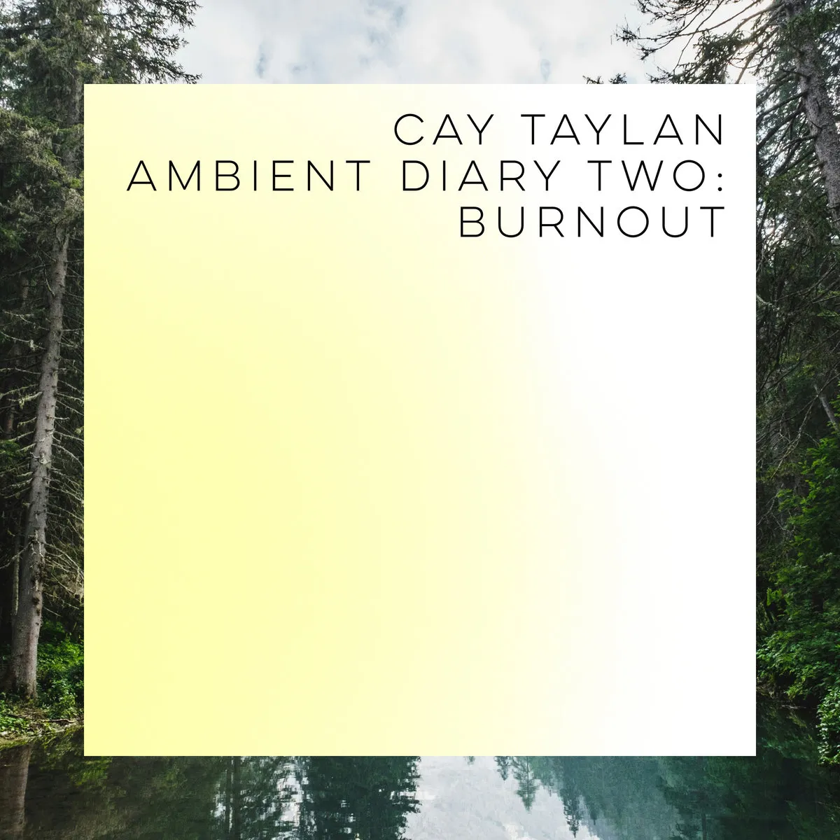 Ambient Diary Two: Burnout Cay Taylan Album